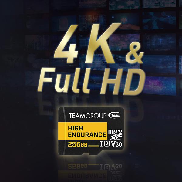 Team Group HIGH ENDURANCE 256GB Micro SDXC UHS-I U3 V30 4K 100MB/s(Designed for Monitoring) Stable Durable Long Lasting Flash Memory Card for Security