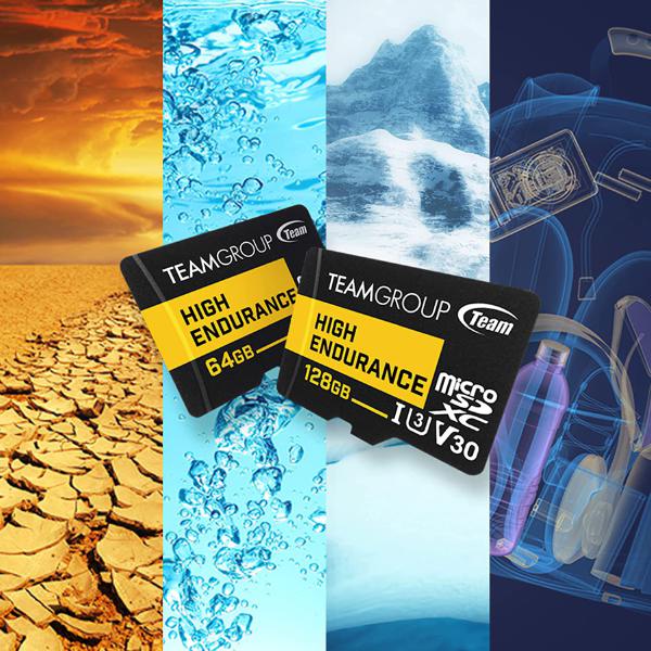 Team Group HIGH ENDURANCE 256GB Micro SDXC UHS-I U3 V30 4K 100MB/s(Designed for Monitoring) Stable Durable Long Lasting Flash Memory Card for Security