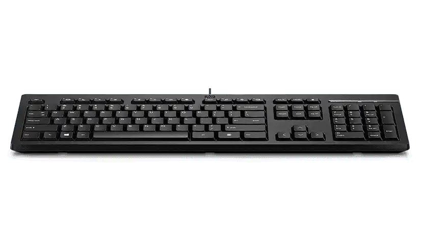 HP 125 Wired Keyboard - Compatible with Windows 10, Desktop PC, Laptop, Notebook USB Plug and Play Connectivity, Easy Cleaning 1YR WTY