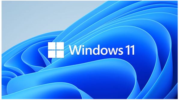 SMS-WIN11PROWS64