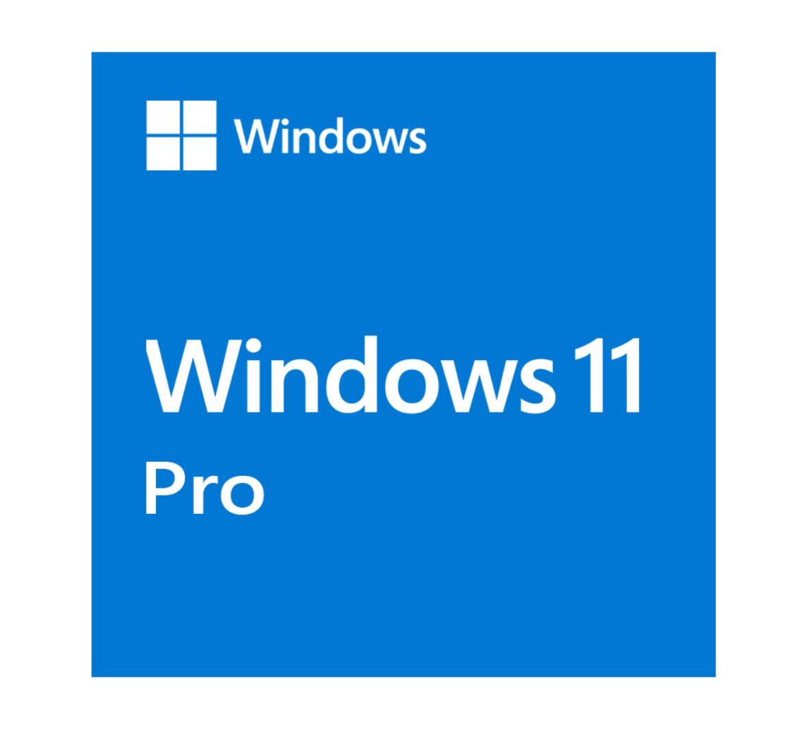 Microsoft Windows 11 Professional OEM 64-bit English 1 Pack DVD. Key NEW - Software