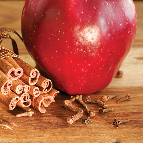 Spiced Apple Wax Melts 2.5oz - Image 3
