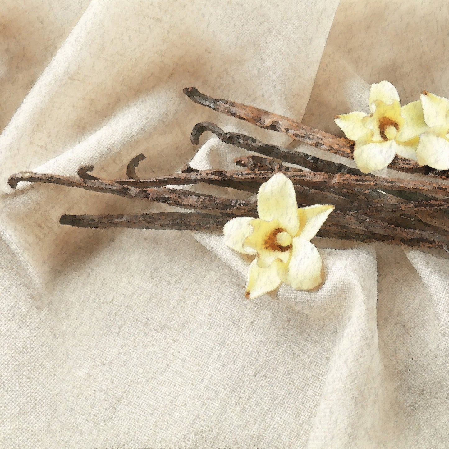 Vanilla Dream Scents - Image 2