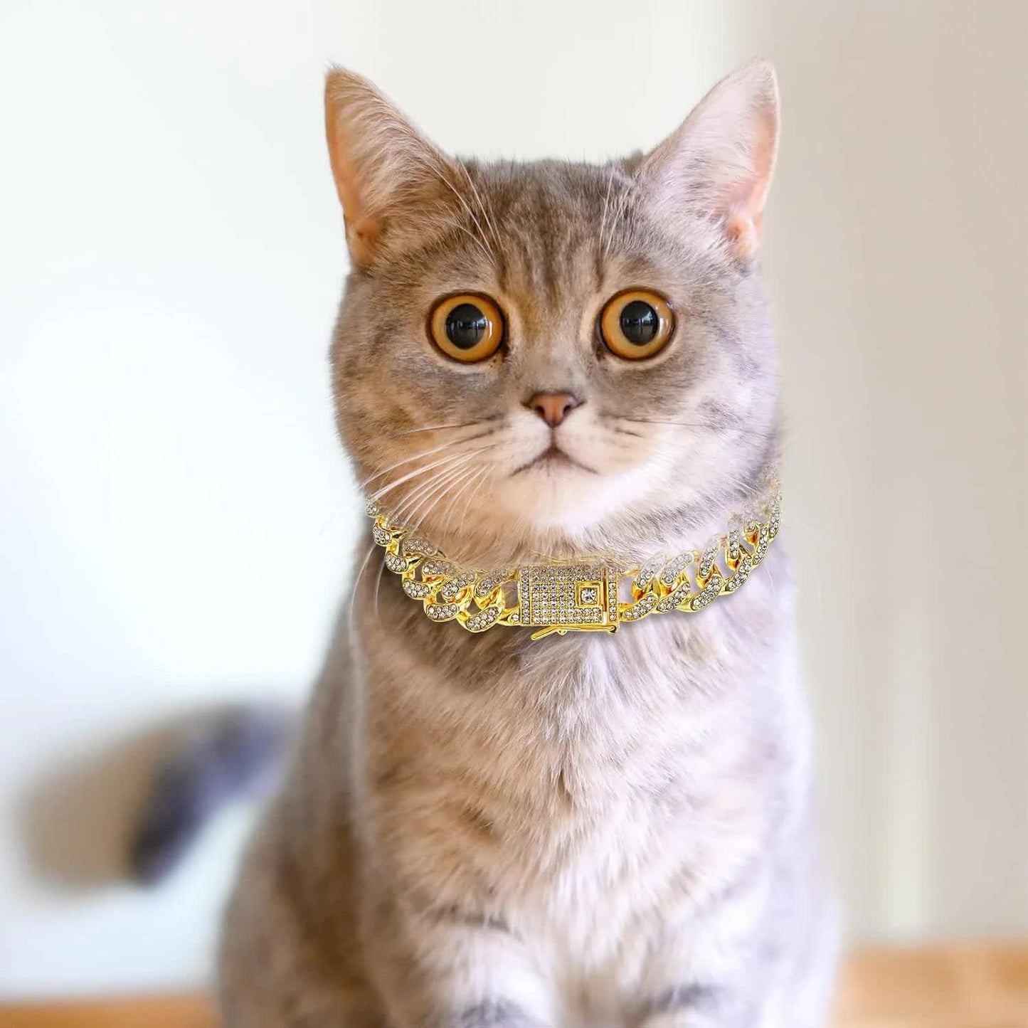 Chain Collar for Dog Diamond Cuban Link Dog Collar 13mm Wide Pet Cuban Style Collar Metal Cat Chain Pet Crystal Collar Jewelry Accessories for Small Medium Large Dogs Cats (10 Inch, Gold) - Image 4