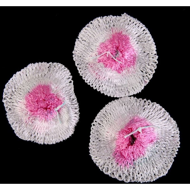 3 pcs Replacement Mantles For Camping Gas Lantern Lamp - Image 4