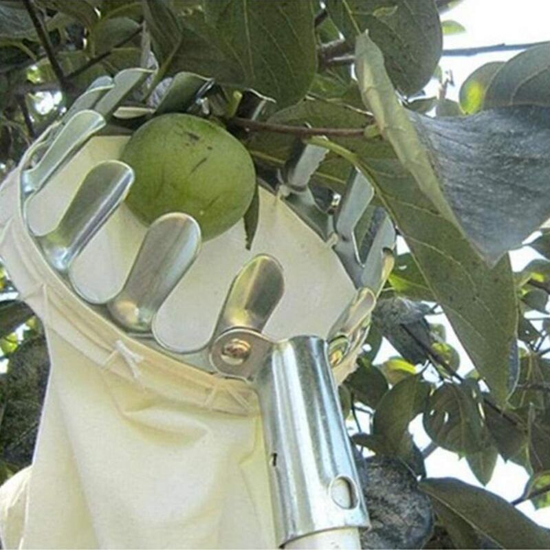 Fruit Picker Without Metal Telescopic Handle, Apple Picker With Protective Cover 160Mm - Image 4