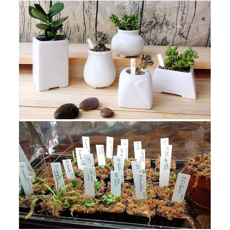 100 pcs Plastic Plant Label, White Plastic Garden Tag 10X2Cm - Image 4