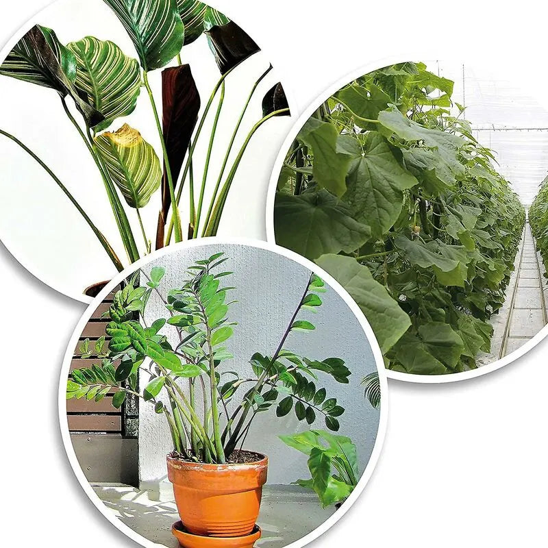 200X Green Plastic Plant Binder - Stabilize Plants - Plant Clips - Plant Stake Clip (13 Cm) - Image 3