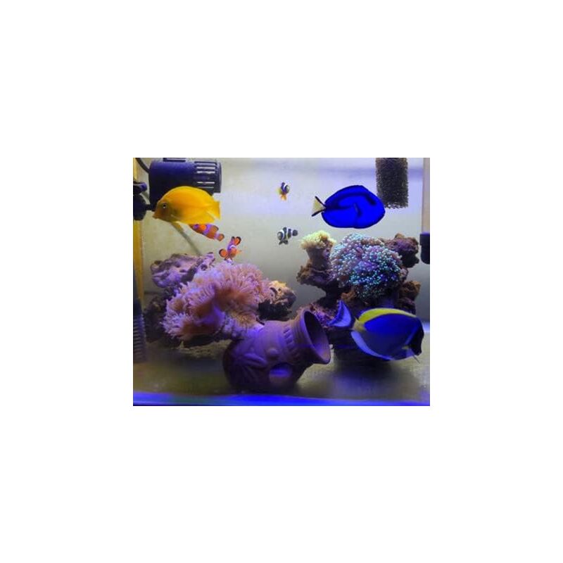 Aquarium Hideout, 2 Pieces, Aquarium Cave, Fish Hideout, Aquarium Shelter, Aquarium Decoration - Image 4