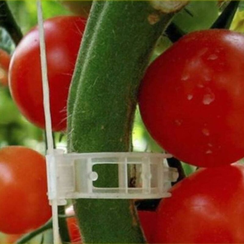 100 pcs Garden Plant Clips, Plant Ties, Vine Twine, Trellis, Vegetable Vine Cages, Grafting Tools For Growing - Image 4