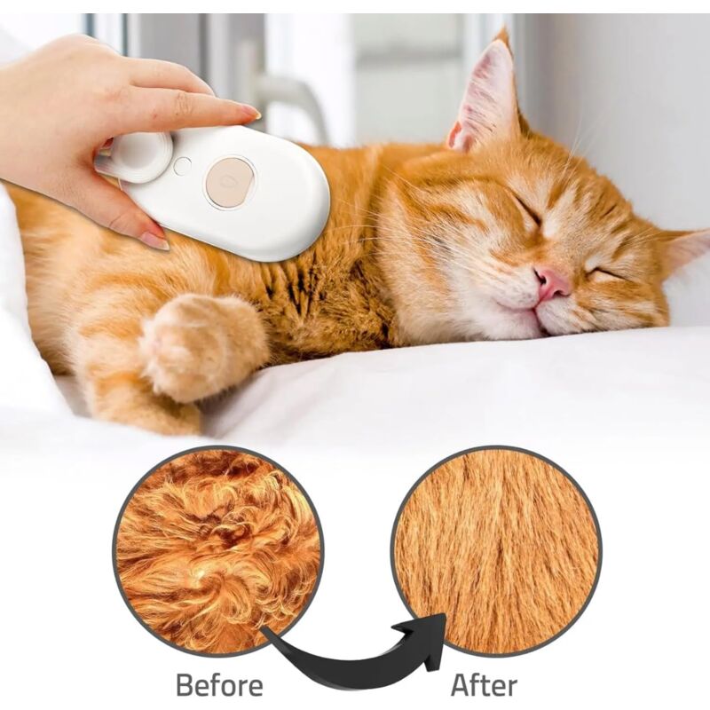 Electric Steam Brush For Dogs And Cats: Coat Care, Detangling, Relaxing Massage, Home Hygiene, Tangle Removal, Home - Image 4
