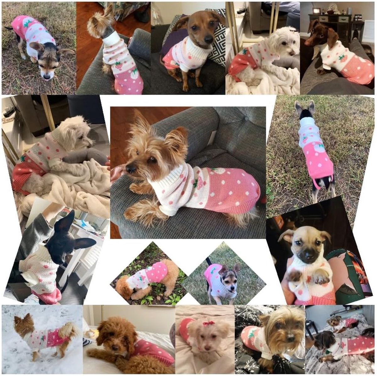 Dog Coat - Dog Sweater - Classic Knit Turtleneck Sweater - Warm Winter Dog Clothes - Adorable Strawberry Heart Pattern - Perfect for Small and Medium Dogs - Pink - Size L - Image 3