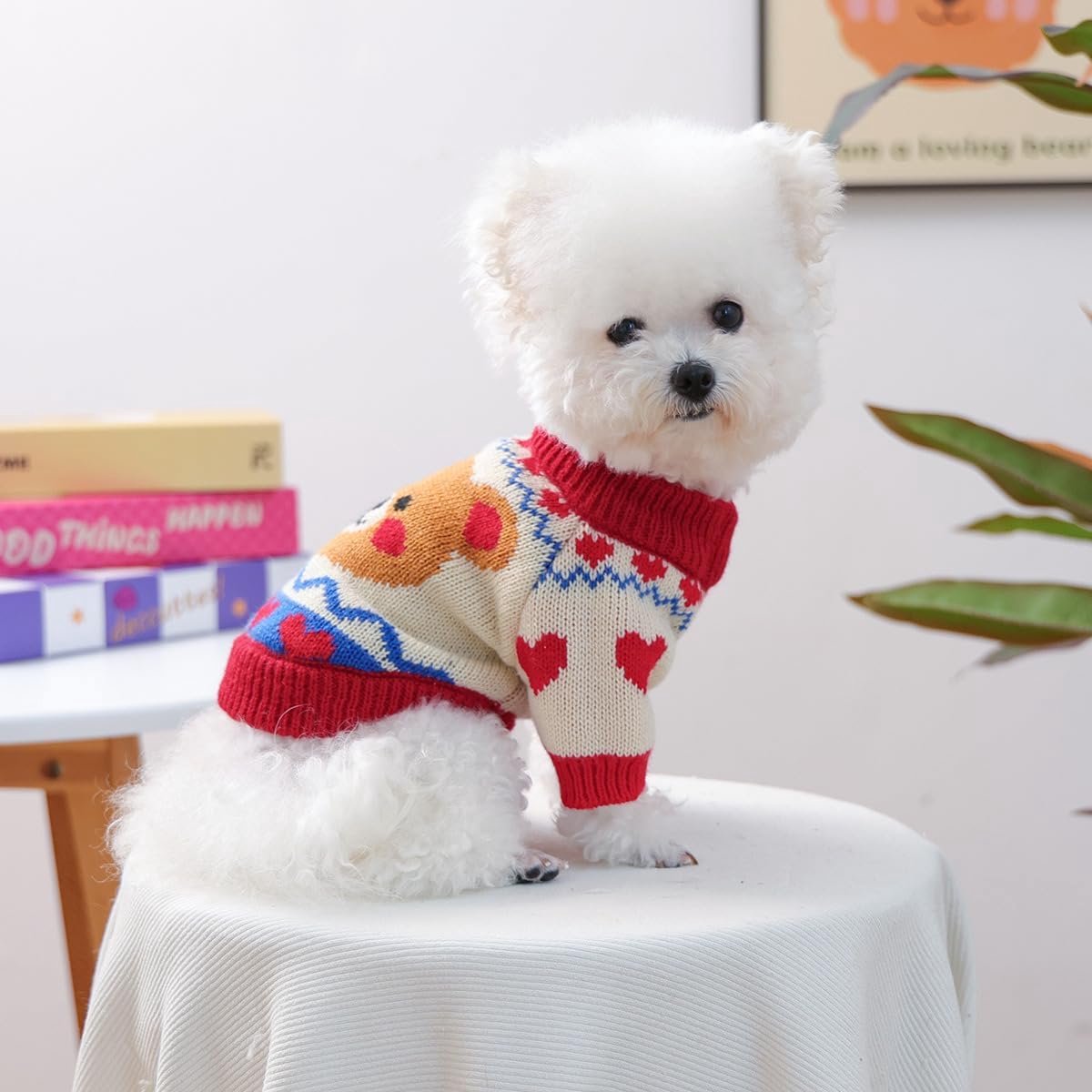 Dog Coat - Dog Sweater - Warm Winter Dog Clothes - Knit Sweater - Dog Pullover - Lightweight and Warm Cat Sweater - Perfect for Chihuahuas - Birthday Clothes - Christmas Decorations - Christmas - Size M - Image 5