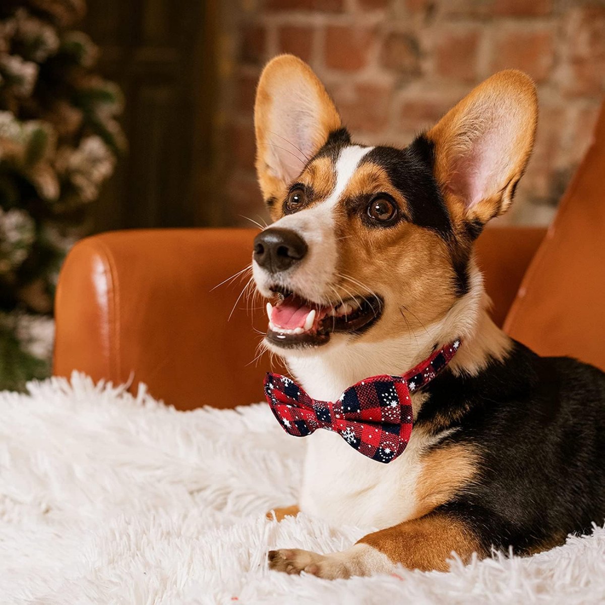 Christmas Dog Bow Tie - Festive Dog Bow Tie - Collar with Bow - Dog Collar - Red - Checkered Bowtie - Adjustable Neckline - Dog Accessories - Dog Clothing - Dogwear - Christmas - Gift - Size L - Image 5