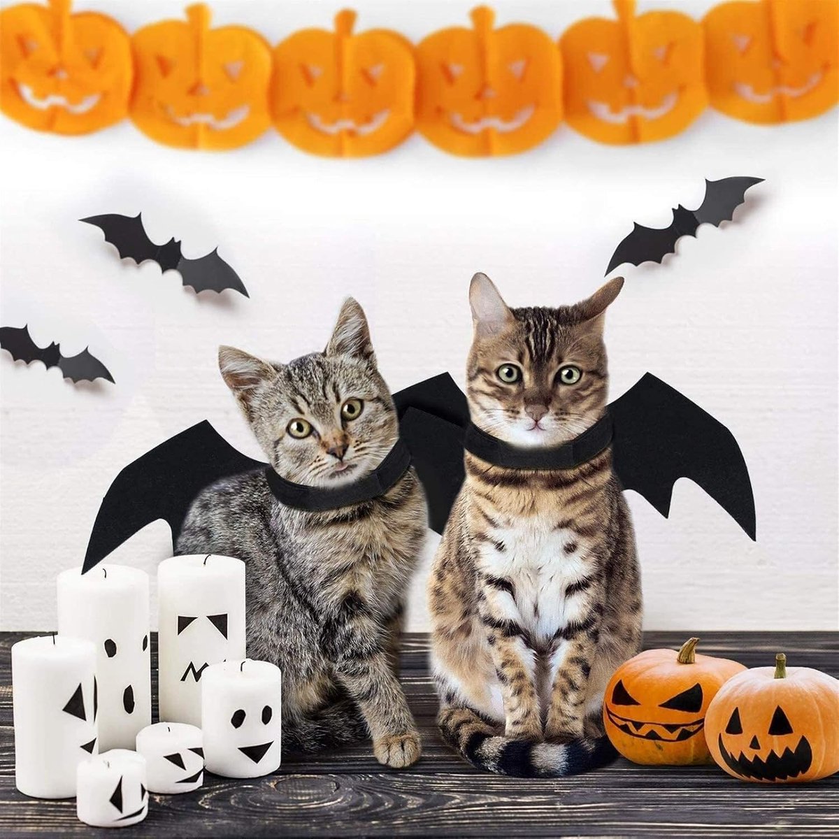 Dog - Cat - Creative Animal Clothing - Dog Costume - Halloween - Christmas - Bat Wings - Cat Clothing - Christmas Clothing - Bat Wings Costume - Black - for Home / Party / Festival / Christmas / Halloween / Christmas - Image 5