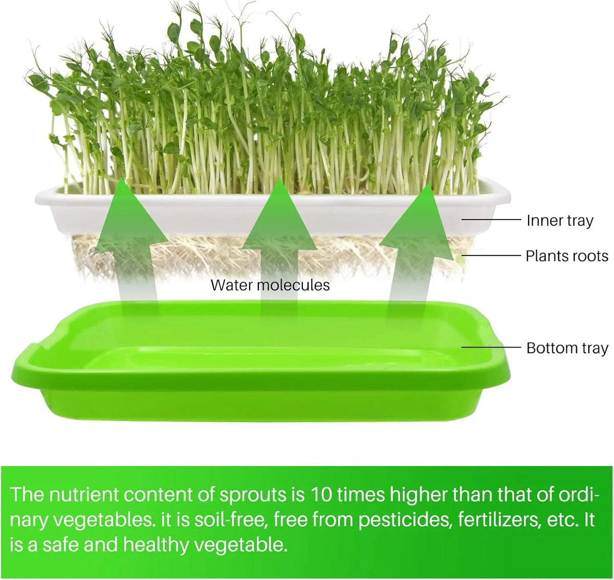 8-Pack Seed Sprouter Tray Microgreens Growing Trays BPA Free Seed Germination Propagation Soil-Free Wheatgrass Bean Nursery Tray with Planting Paper for Indoors or Outdoors - Image 3
