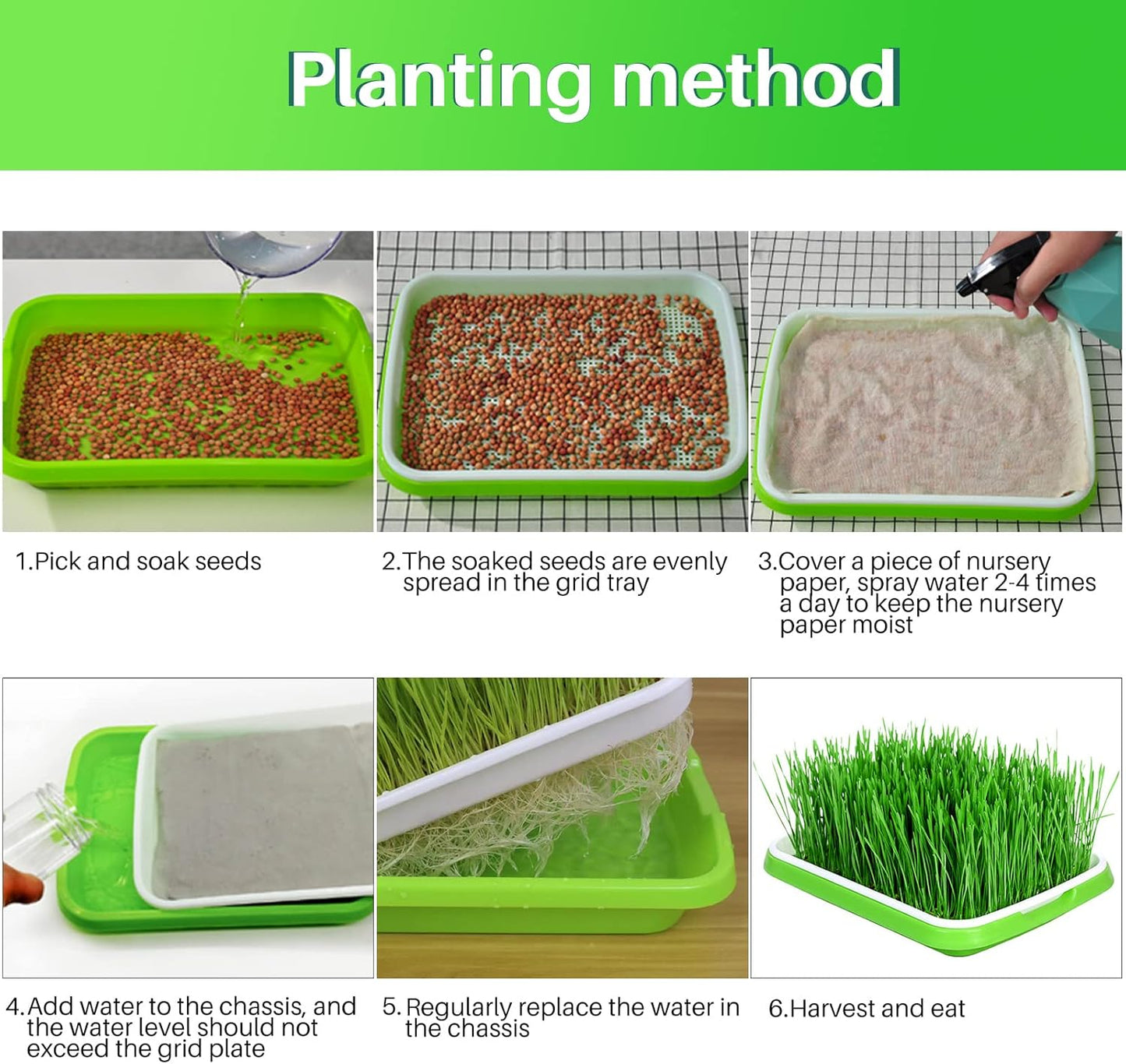 8-Pack Seed Sprouter Tray Microgreens Growing Trays BPA Free Seed Germination Propagation Soil-Free Wheatgrass Bean Nursery Tray with Planting Paper for Indoors or Outdoors - Image 4