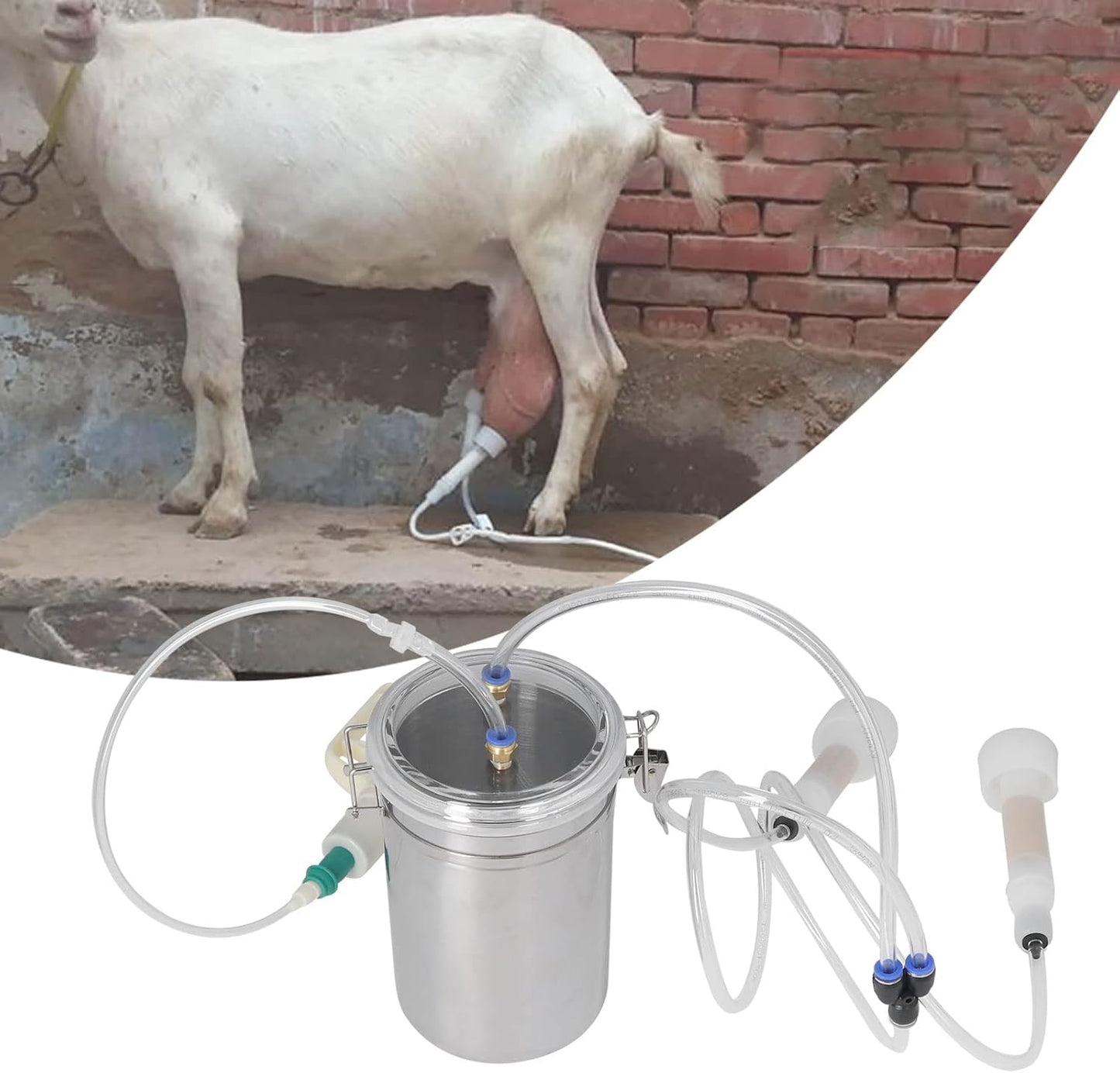 2L Goat Milking Machine, Large Capacity Manual Milking Machine Effort Saving Goat Milker Adjustable Pulsating Pump Stainless Steel Bottle Portable Milking Kit for Sheep, Cow, Goat - Image 4