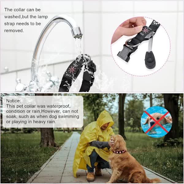 LED Luminous Dog Collar, Rechargeable and Waterproof Dog Collar, Adjustable Collar with 7 Light Modes (Colorful-M) - Image 4