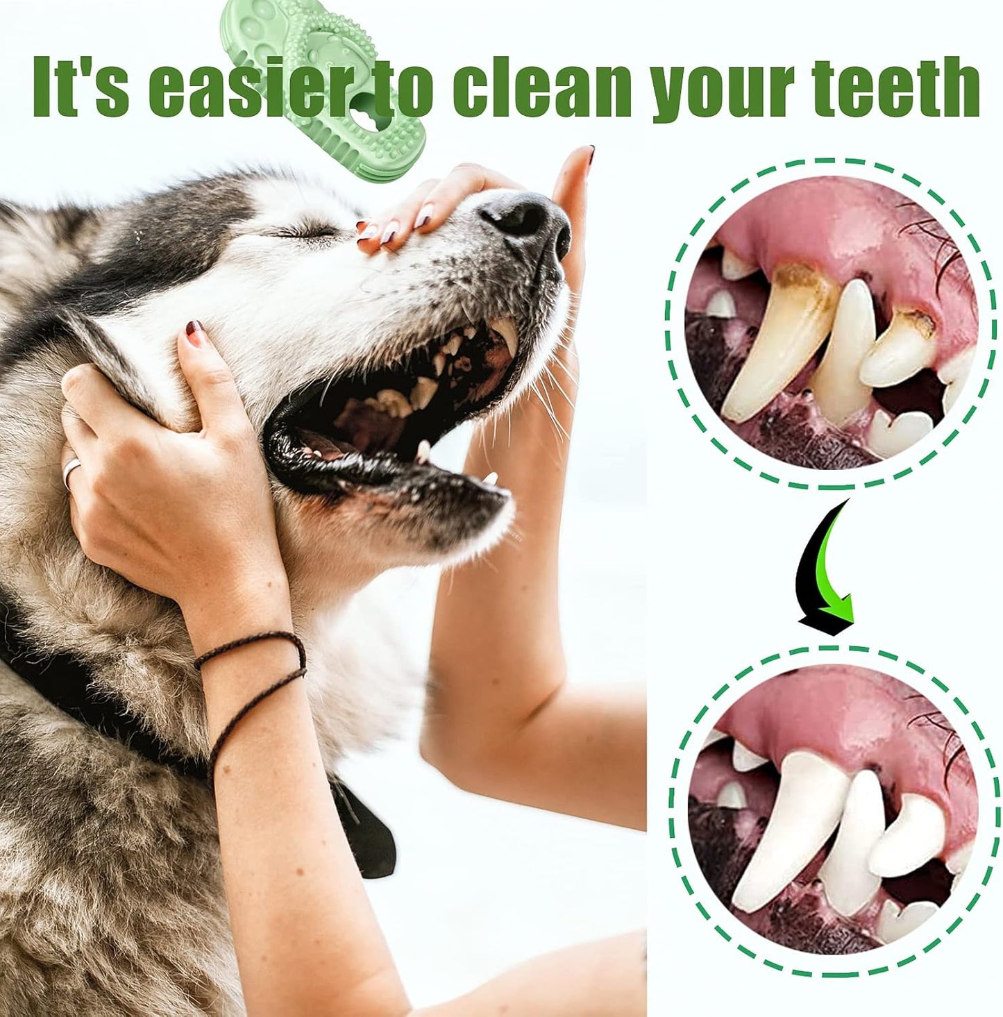 Dog Toothbrush-Chew Toy-Cleaning Teeth-Green+Pink - Image 5