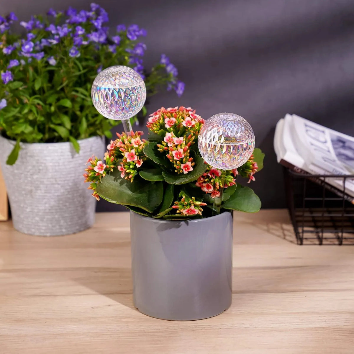 Glass Self-Watering Plant Balls, 2-Pack, Pearlescent, Clear Iridescent, Plant Watering Device, Diamond Pattern, Self-Watering Balls, Planter Insert, Decorative Holiday Watering Spikes - Image 2