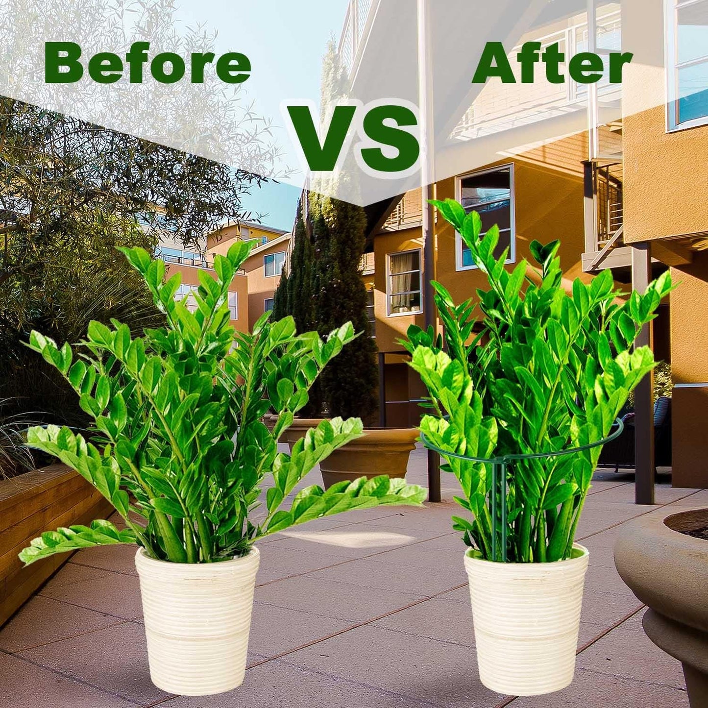 Plant Support Poles, 6-Pack Metal Peony Cages and Supports, Plant Support Cage for Garden Poles, Large Plant Support Ring for Outdoor and Indoor Use, Snake Plant, Peony, Flower Tendril (25cm W x 40cm H) - Image 5