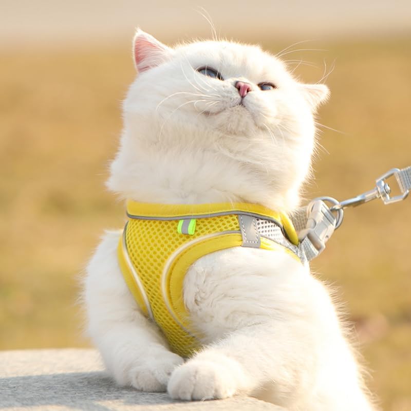 Cat Harness - Cat Harness and Leash Set - Soft, Adjustable, Escape-Proof Cat Leash - Breathable, Comfortable Vest for Easy Putting on, Suitable for Small Dogs and Kittens, Suitable for Outdoor Walks - Yellow XS - Image 5