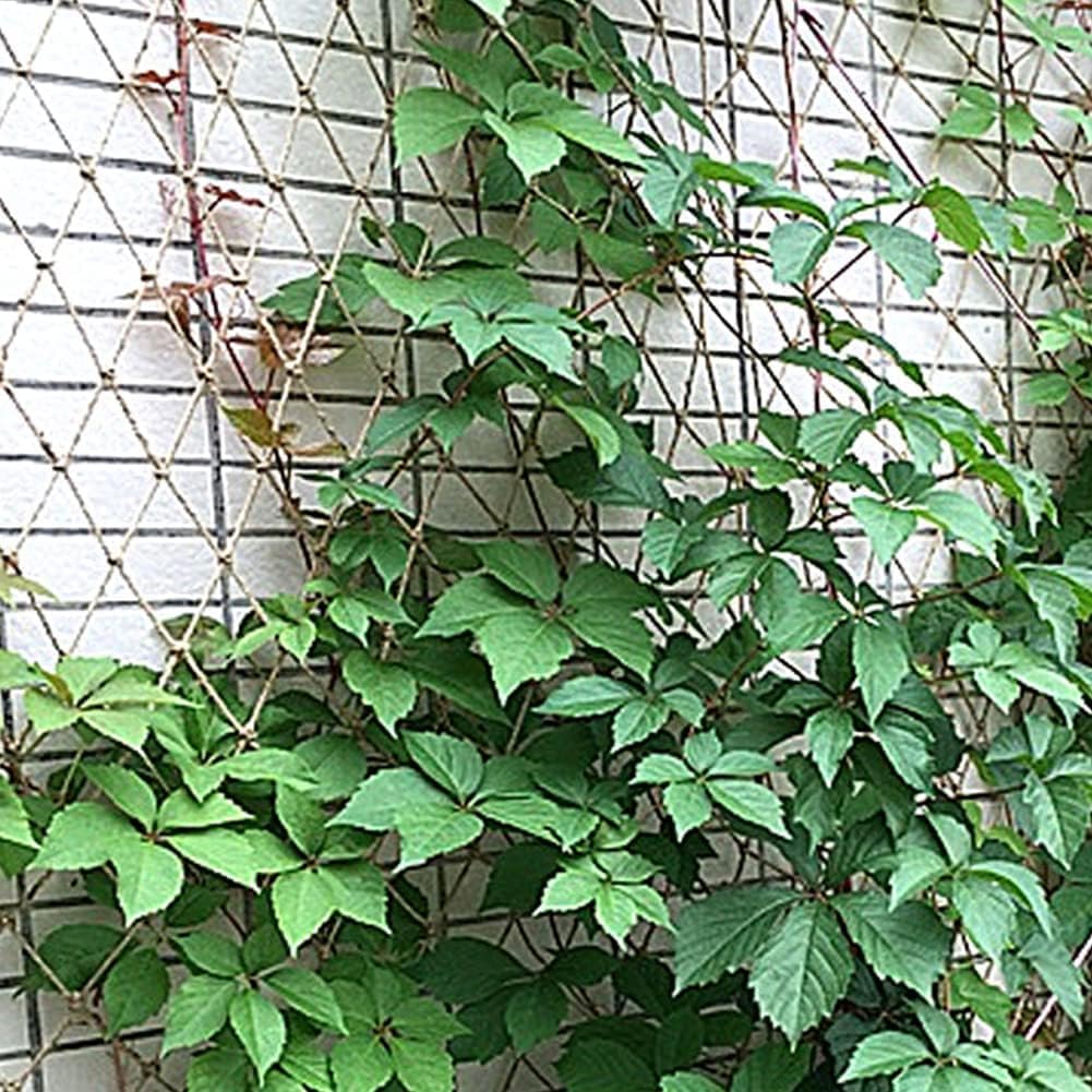Plant Support Net for Climbing Plants - 2 x 5 Meters - Jute Climbing Net - Natural & Sustainable - Image 5