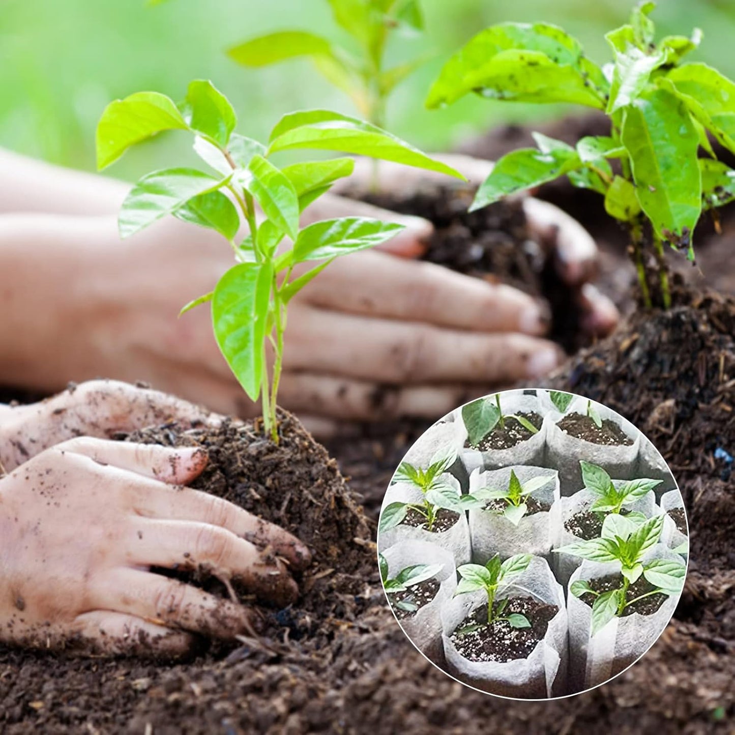 Grow Bags - Gardening - Grow Pots - Vegetable Garden - Seedlings - Plant Bags - Non-woven Grow Bags - Growing Set - Breathable Fleece - Vegetable Garden - Vegetable Gardening - Sowing - Cuttings - Garden Plants - Growing Tray - Flower Pot Bag - Sustainabl - Image 7