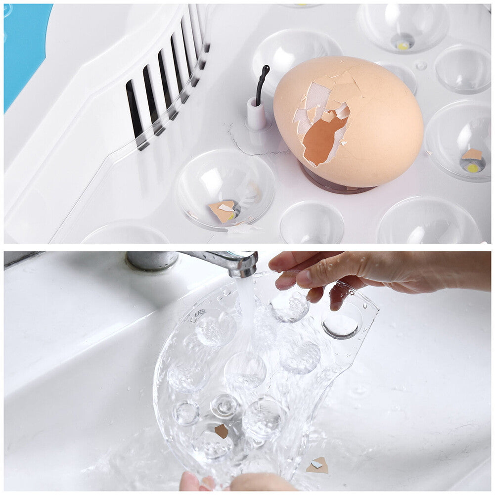 9 Egg Incubator Semi-Automatic Digital Temperature Chicken Duck Eggs Poultry - Image 9
