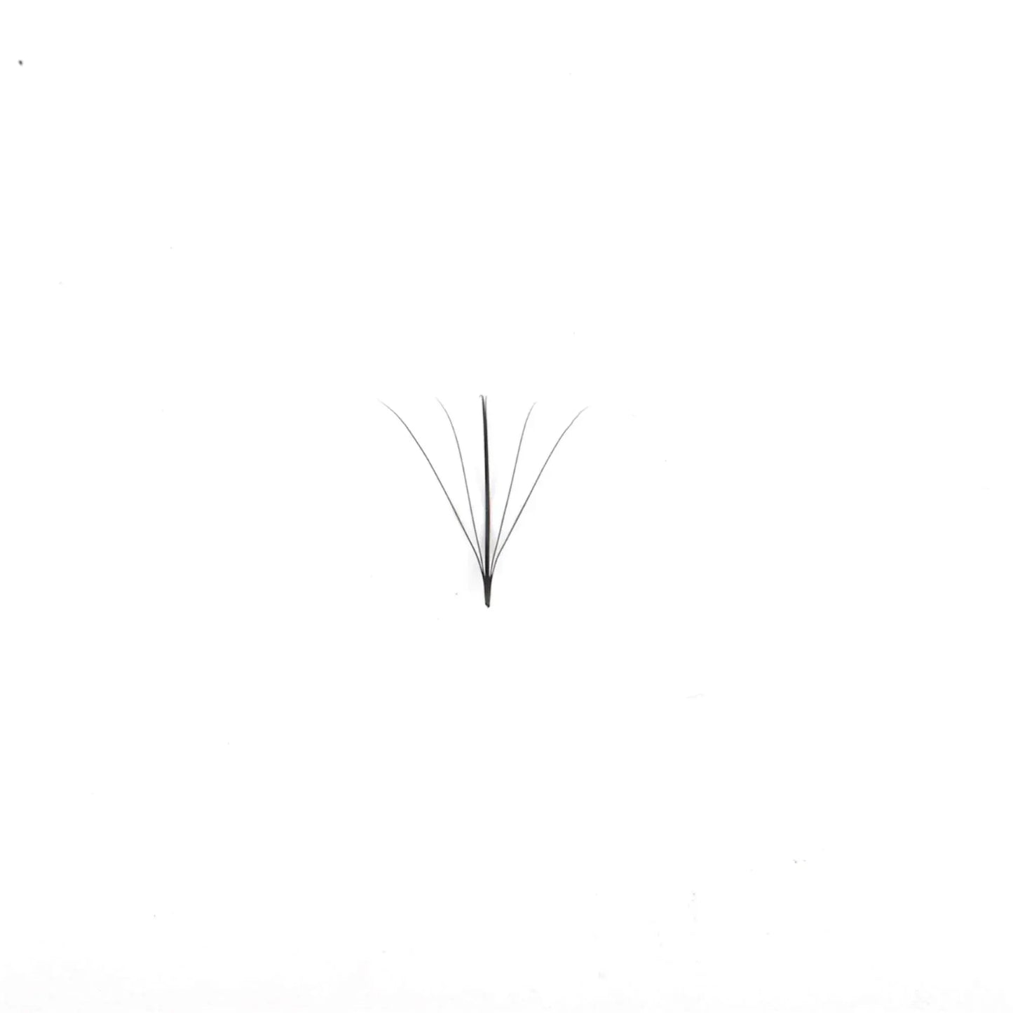 Miosh Eyelash Extensions - 5D Premade Wispy Spike Fans Eye Lash - Image 3