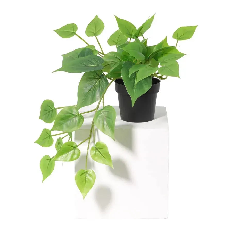 Potted Artificial Hanging Pothos 38cm - Image 6