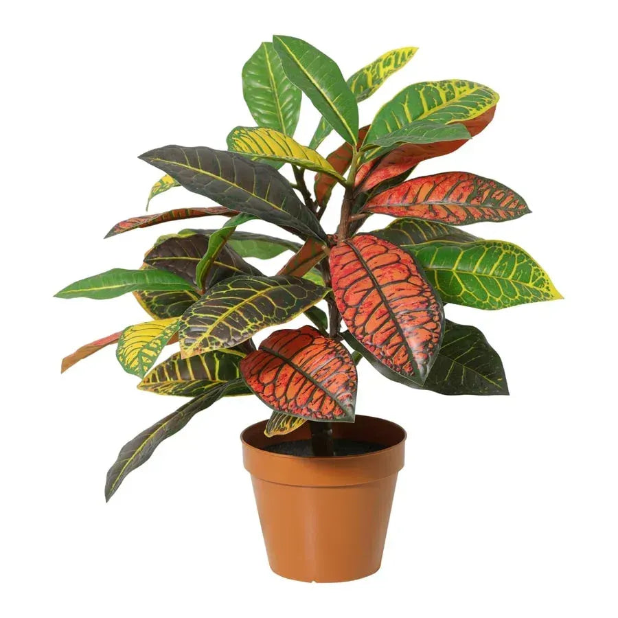 Potted Artificial Calathea 38cm - Image 6