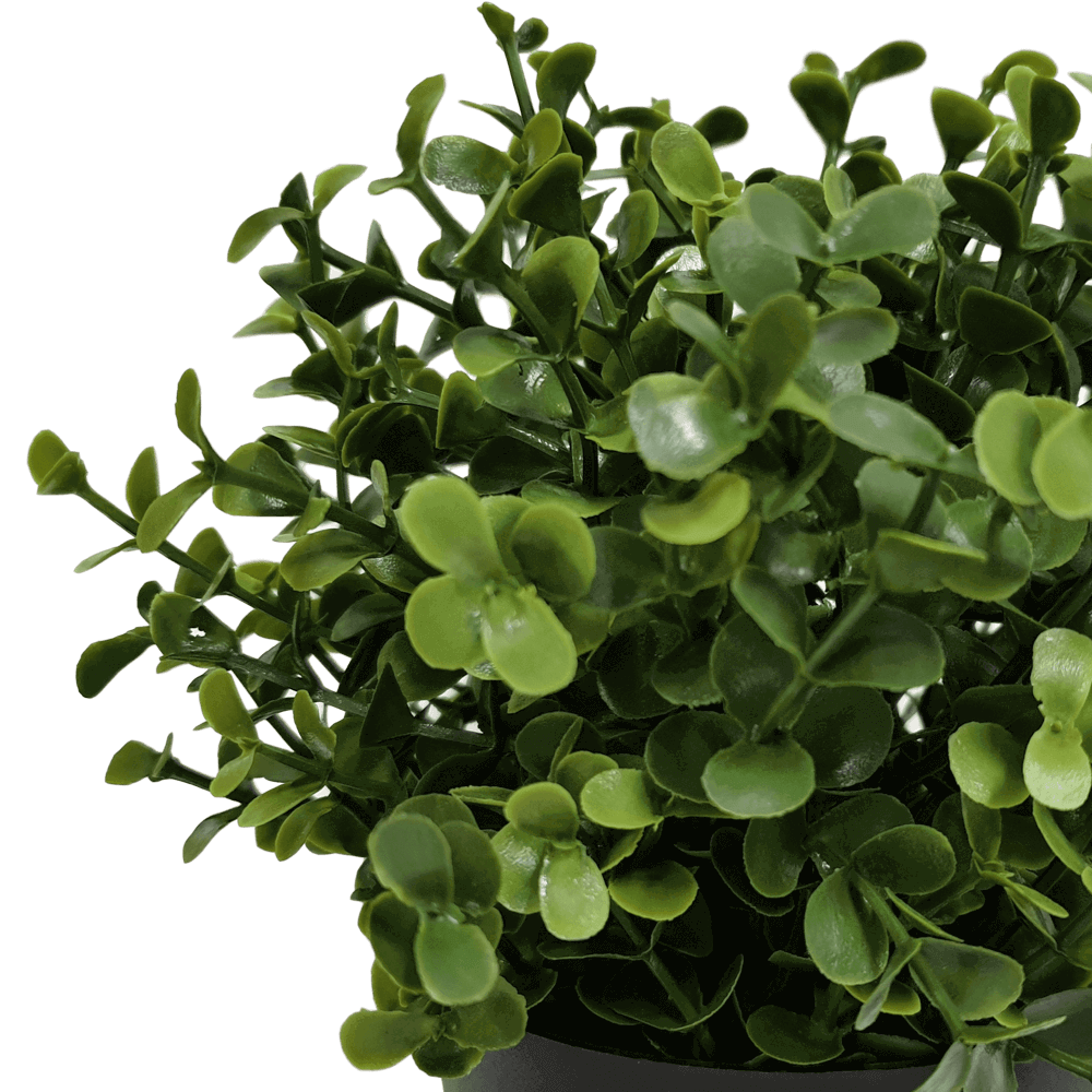 Small Potted Artificial Buxus Plant UV Resistant 20cm - Image 3