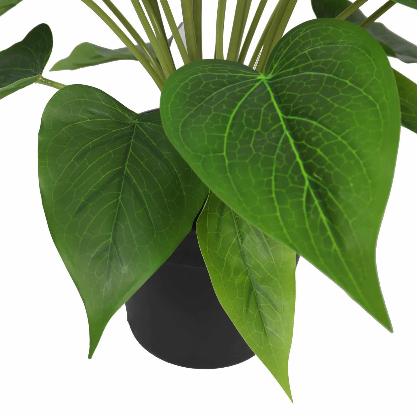 Artificial Flowering White Peace Lily / Calla Lily Plant 50cm - Image 4