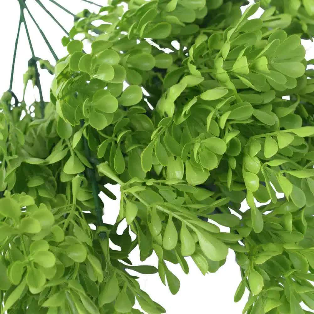 Vivid Green Wide Eucalyptus Plant 32cm UV Resistant - Image 4