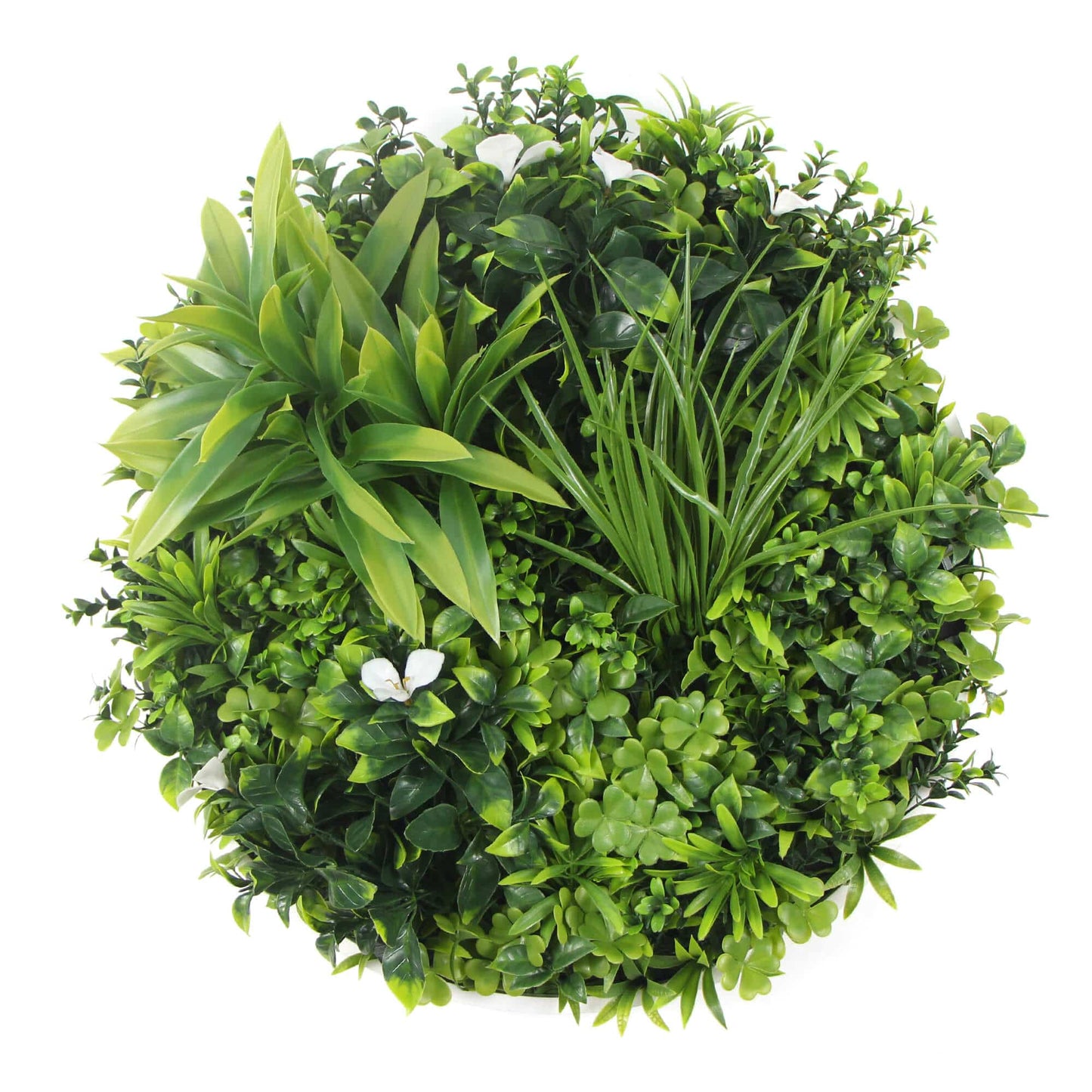 Three Flowering White Green Wall Disc UV Resistant 50cm Bundle - Image 3