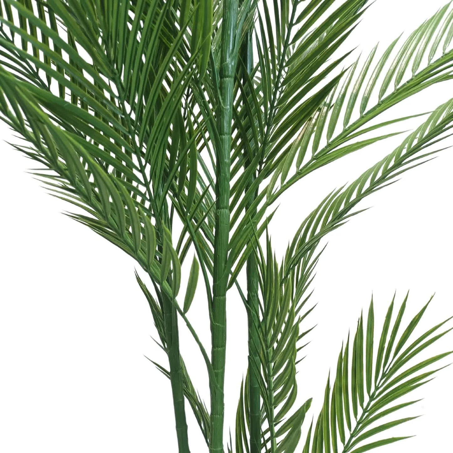Real Touch Artificial Phoenix Palm Tree UV Resistant 180cm - Image 4