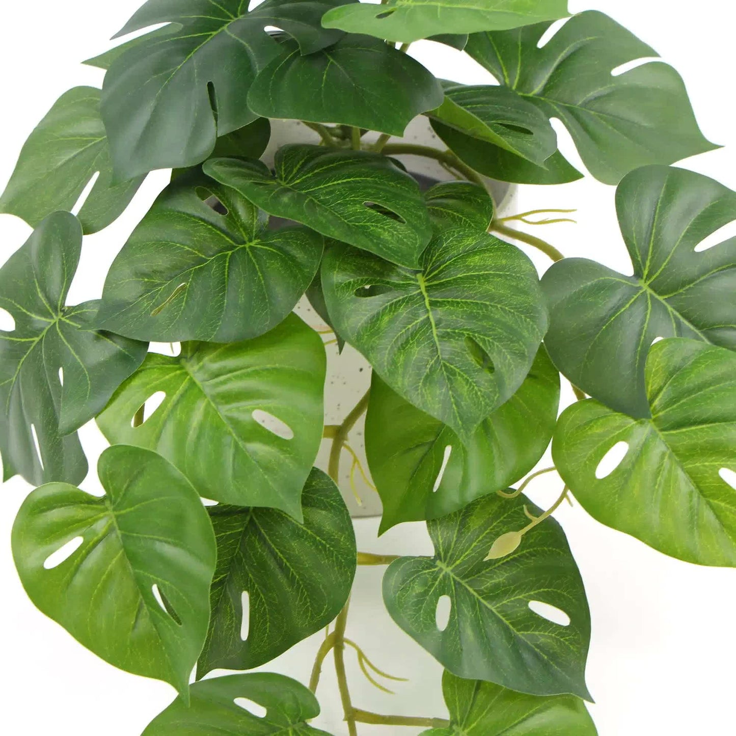 Decorative Artificial Monstera Adansonii Plant in Ceramic Bowl 30cm - Image 4