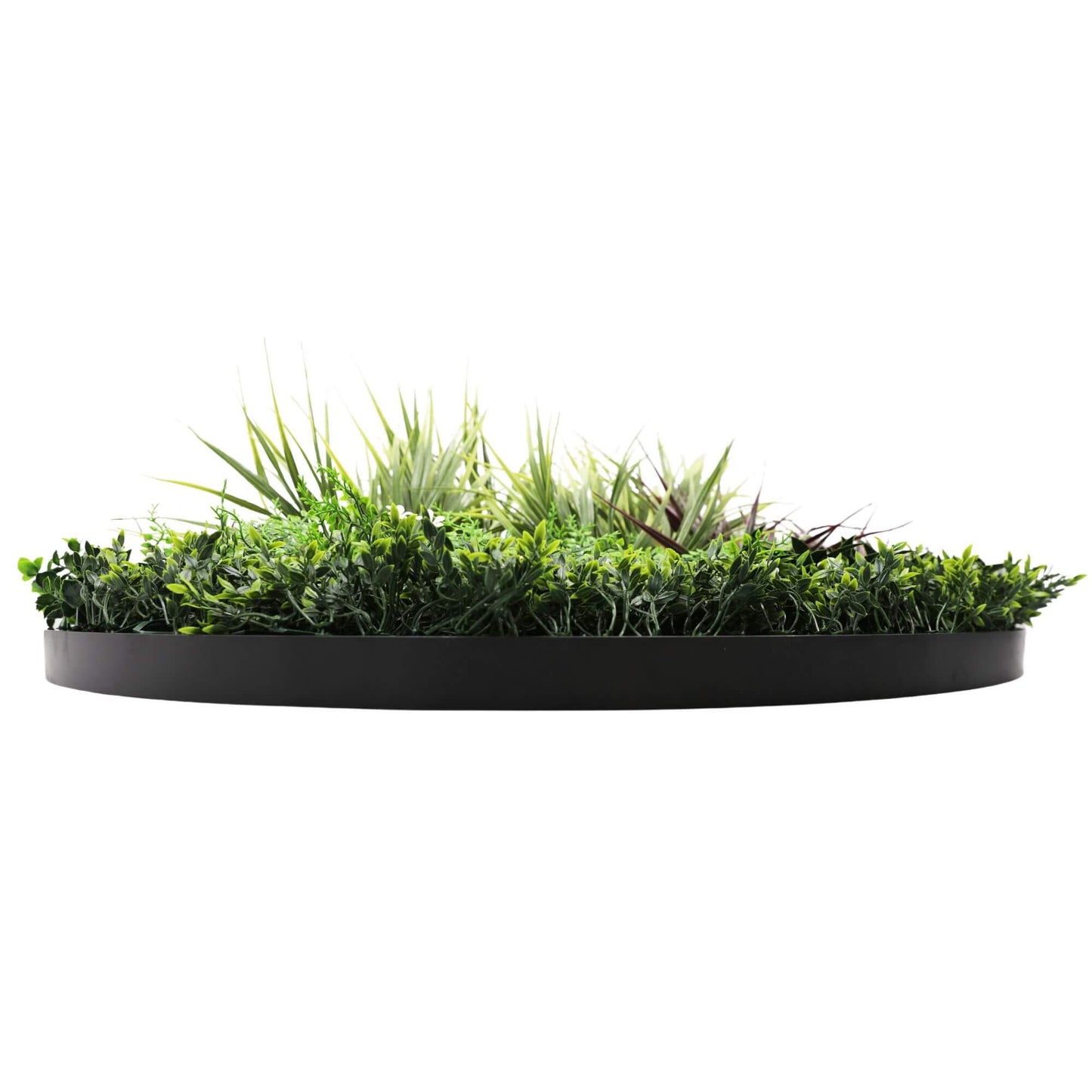 Slimline Artificial Green Wall Disc Art 100cm Grassy Fern UV Resistant (Black) - Image 4
