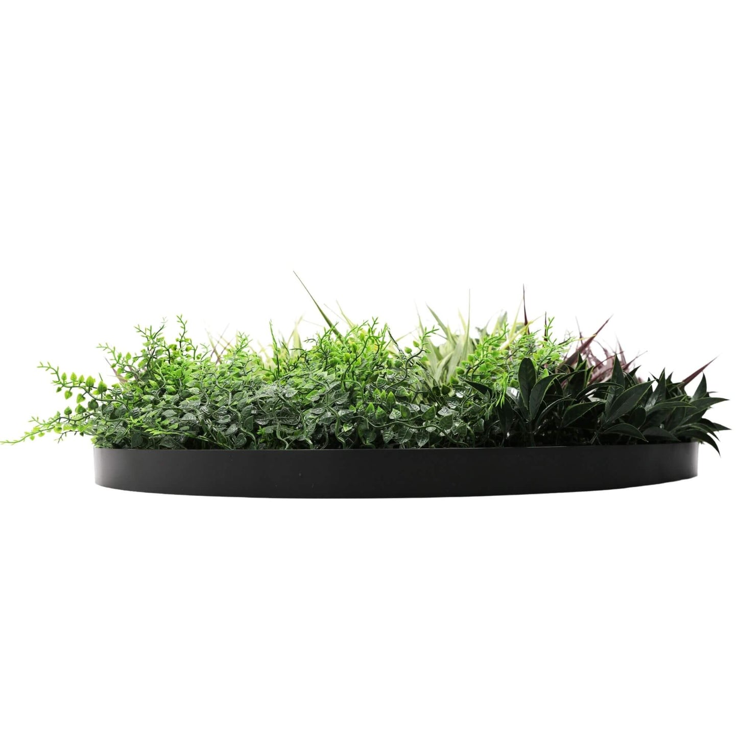 Slimline Artificial Green Wall Disc Art 80cm Grassy Fern UV Resistant (Black) - Image 4