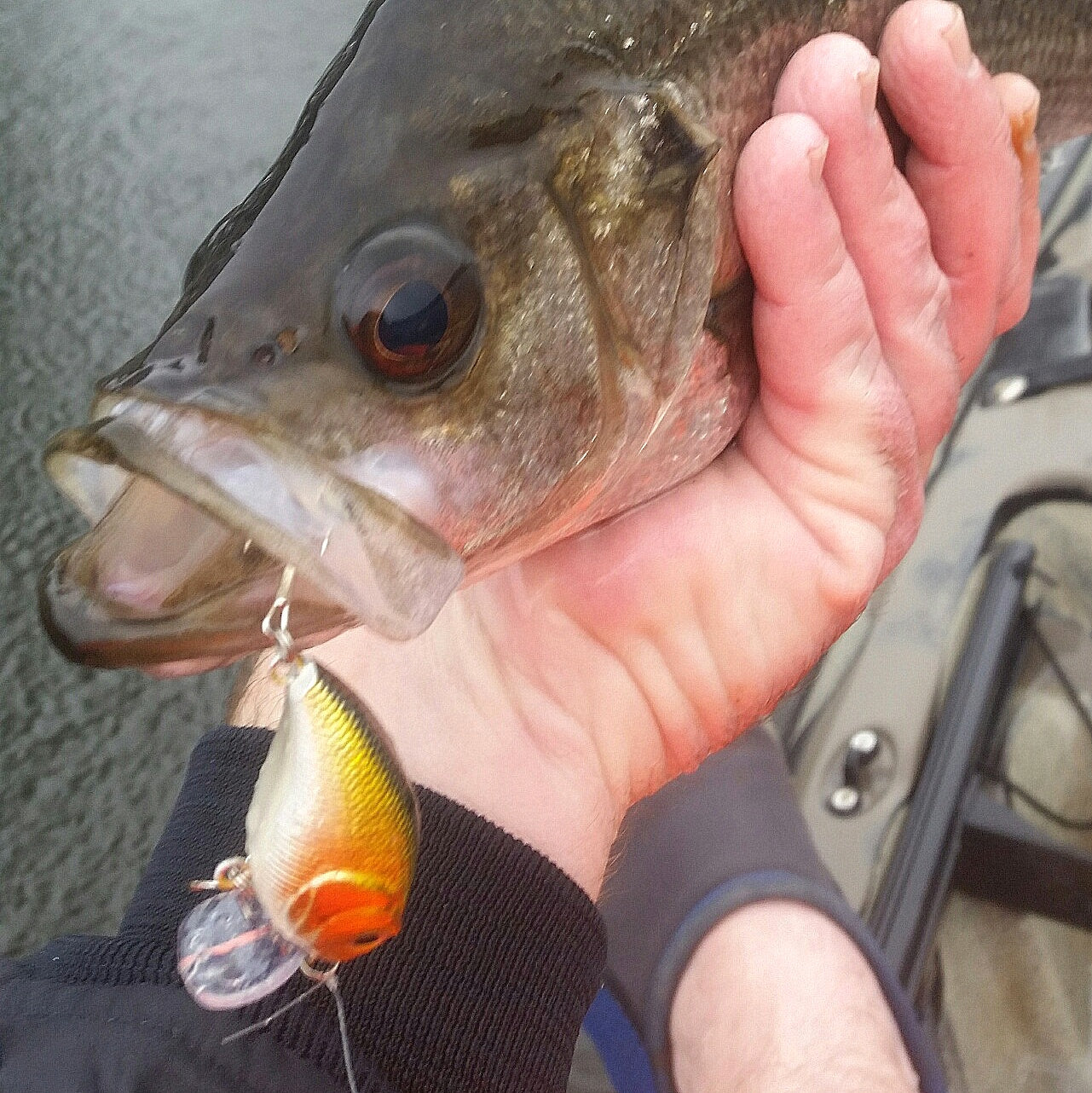 Toppu Mizzu Wakebait, 55mm, Purple Flash - Image 3