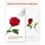 60-Piece Bulk Artificial Red Foam Roses, Real-Looking Faux Flower Stems for DIY Wedding Bouquets, Home Centerpieces & Party Table Decor - Image 5