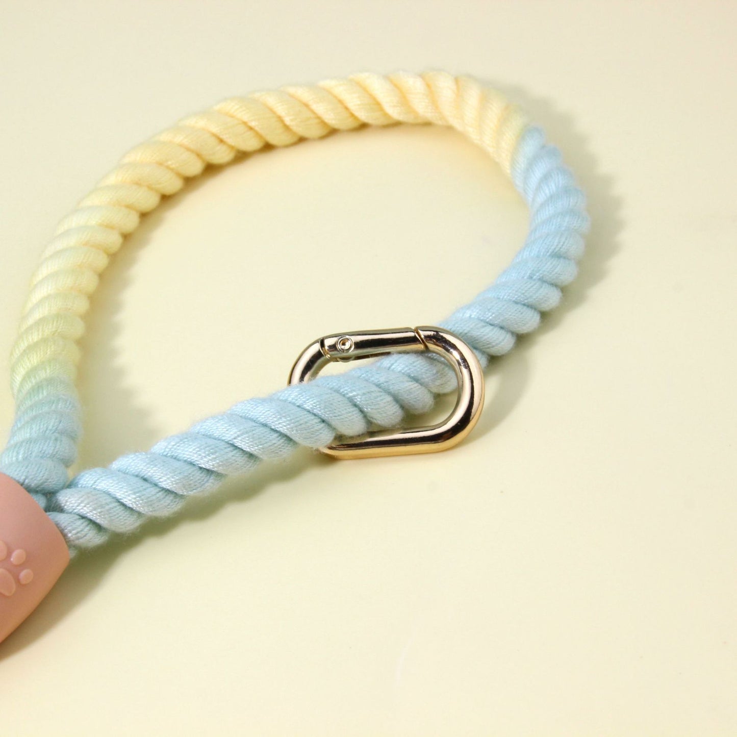 Colorful Vibrant Rainbow Ombre Rope Dog Leash - Durable Nylon P-Chain Slip Lead for Small & Medium Breeds - Image 5