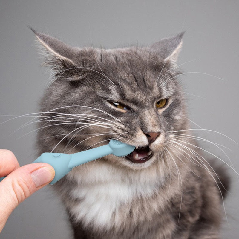6 x Silicone Pet Toothbrush (3 Fish shape and 3 Bone shape) Blue Gentle Food-Grade Silicone Pet Toothbrush - Promotes Healthy Teeth & Gums for Dogs & Cats - Image 7