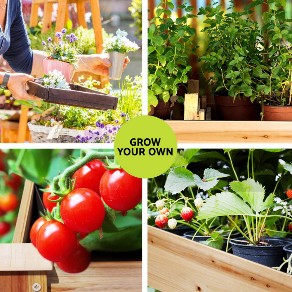 Green Fingers Raised Garden Bed 2x Elevated 120x60x80cm Wooden Planter Box Container - Image 4