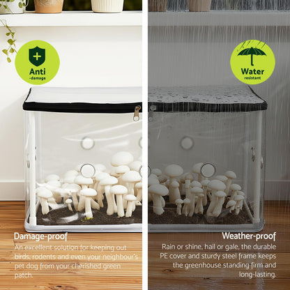 Green Fingers Mini Greenhouse 50x25x25cm PVC Cover for Mushrooms Succulents - Image 4