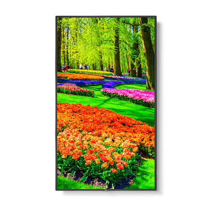 Sharp M-series M431 43" Professional Display, 4K UHD, 500-cd/m2 Brightness, IPS, 28% Haze Non-Gla...