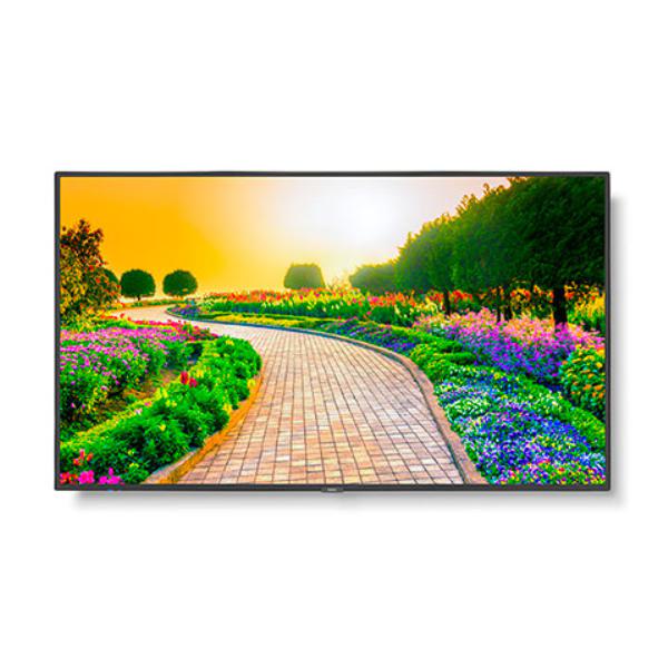 Sharp M-series M431 43" Professional Display, 4K UHD, 500-cd/m2 Brightness, IPS, 28% Haze Non-Gla... - Image 3