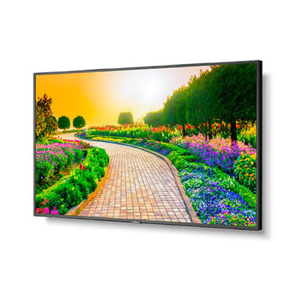 Sharp M-series M431 43" Professional Display, 4K UHD, 500-cd/m2 Brightness, IPS, 28% Haze Non-Gla... - Image 7
